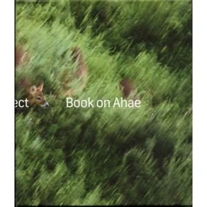 Book on Ahae - Milan Knížák