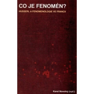 Co je fenomén?