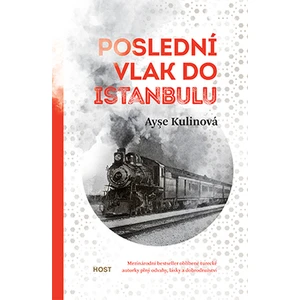 Poslední vlak do Istanbulu - Ayşe Kulinová