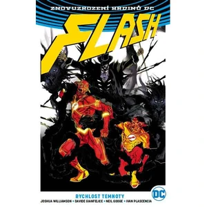 Flash 2 - Rychlost temnoty - Williamson Joshua