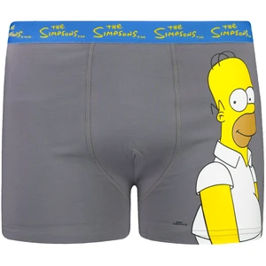 Boxer da uomo Character Simpsons 1P