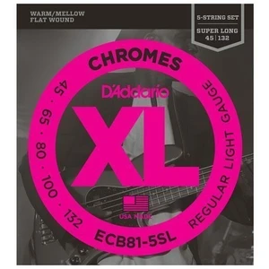 D'Addario ECB81-5SL