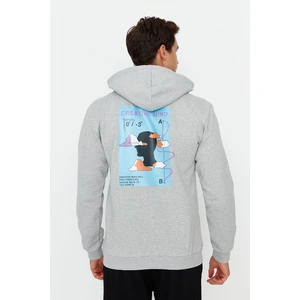 Trendyol Sweatshirt - Gray - Regular fit