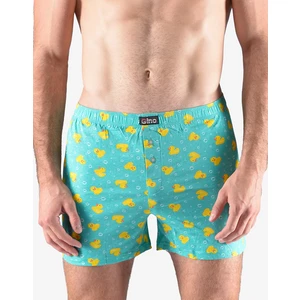 Men's shorts Gino green