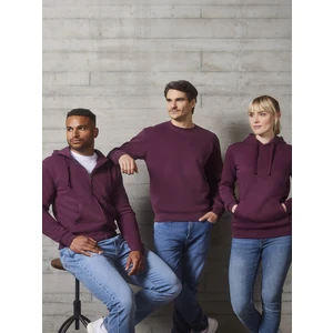 Burgundy men's sweatshirt Authentic Russell