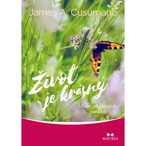 Život je krásný - Cusumano James A.