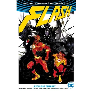 Flash 2: Rychlost temnoty V8 - Znovuzrození hrdinů DC