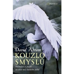 Kouzlo smyslů - David Abram