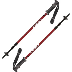 Fizan Explorer Bâtons de trekking