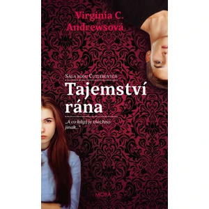 Tajemství rána -- Svítání (2.díl z 5)