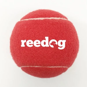 Reedog Tennisball klein