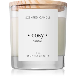 Ambientair Olphactory Santal vonná svíčka (Cosy) 200 g