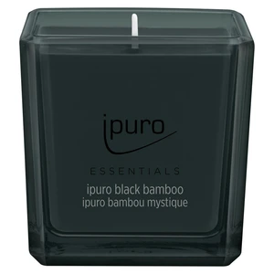 ipuro Essentials Black Bamboo vonná sviečka 125 g