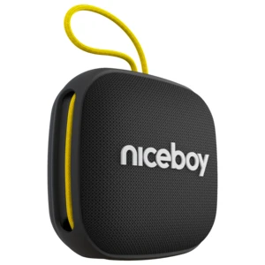 Niceboy RAZE Mini 4