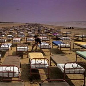 Pink Floyd - A Momentary Lapse Of Reason (2011 Remastered) (LP)