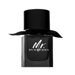 Burberry Mr. Burberry parfémovaná voda pro muže 50 ml