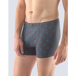 Men's boxer shorts Gino gray (73107)