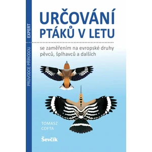 Určování ptáků v letu - Cofta Tomasz