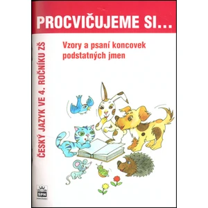 Procvičujeme si Vzory a psaní koncovek podstatných jmen