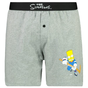 Men’s trunks The Simpsons - Frogies