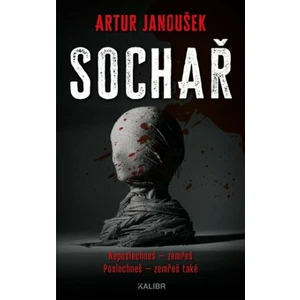 Sochař - Artur Janoušek
