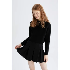 DEFACTO Regular Fit Crew Neck Knitwear Pullover