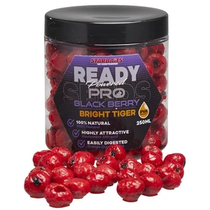 Starbaits tigrí orech ready seeds bright tiger 250 ml - pro blackberry