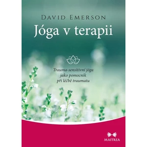 Jóga v terapii - David Emerson