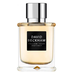 David Beckham Follow Your Instinct toaletní voda pro muže 50 ml