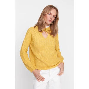 Trendyol Sweater - Yellow - Regular fit