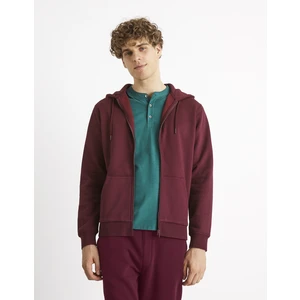 Celio Zipper Sweatshirt Vethree - Men
