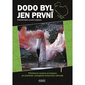 Dodo byl jen první - Jaroslav Vogeltanz, František Hykeš