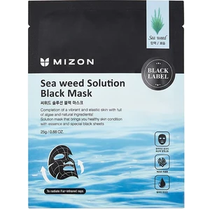 Mizon Vyživující maska s mořskou řasou (Sea Weed Solution Black Mask)  25 g