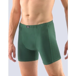 Men's boxers Gino green (74135)