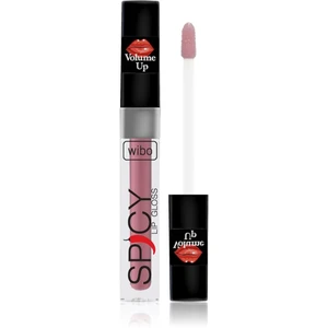 Wibo Lip Gloss Spicy lesk na rty pro větší objem 20 3 ml