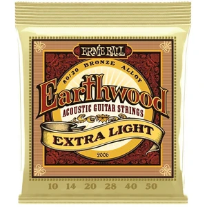 Ernie Ball 2006 Earthwood