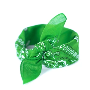 Bandana Art of Polo sz13014