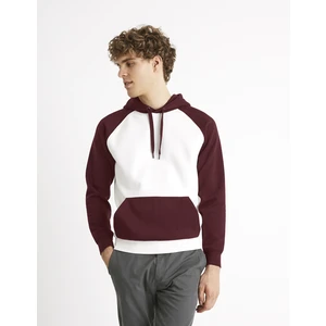 Celio Sweatshirt Raglan Ceblocos - Men