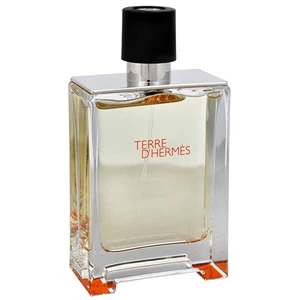 Hermes Terre D´ Hermes - EDT TESTER 100 ml