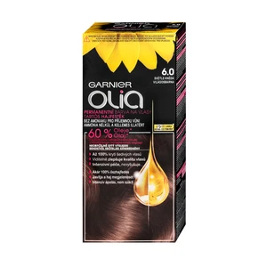 Garnier Olia farba na vlasy odtieň 6.0 Light Brown