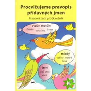 Procvičujeme pravopis přídavných jmen