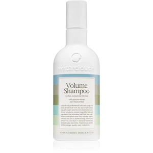 Waterclouds Volume Shampoo šampon pro objem jemných vlasů 250 ml