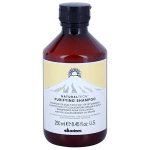 Davines Naturaltech Purifying čisticí šampon proti lupům 250 ml
