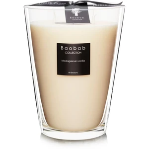 Baobab All Seasons Madagascar Vanilla vonná sviečka 24 cm