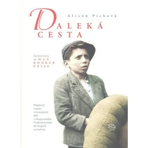 Daleká cesta - Alison Picková