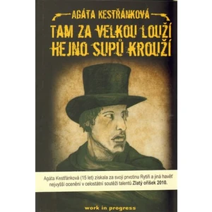 Tam za velkou louží hejno supů krouží - Kestřánková Agáta [E-kniha]