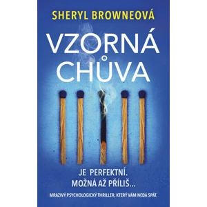 Vzorná chůva - Browneová Sheryl