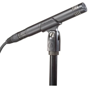 Audio-Technica AT2031 Cardioid Condenser Microphone