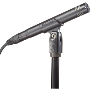 Audio-Technica AT2031 Microphone à condensateur pour instruments