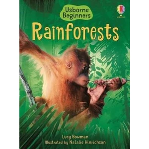 Beginners Rainforests - Lucy Bowman